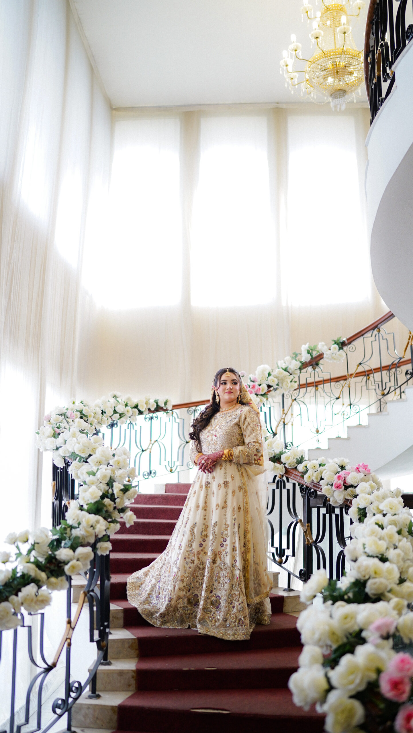 Walima Portfolio